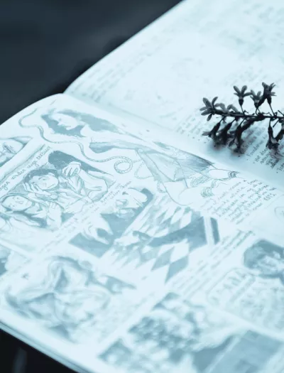 Anneka Robeyns - Graphic novel