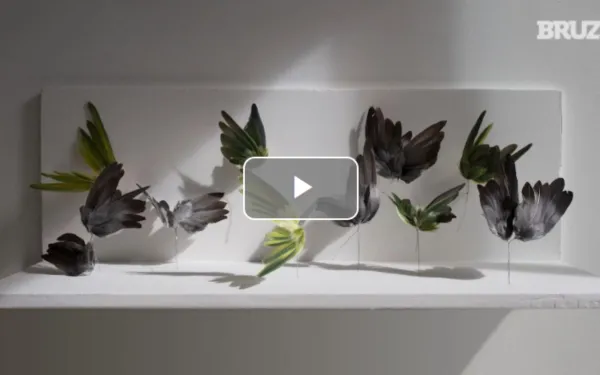 Screenshot Reportage BRUZZ : Estelle Garcia Blanco 