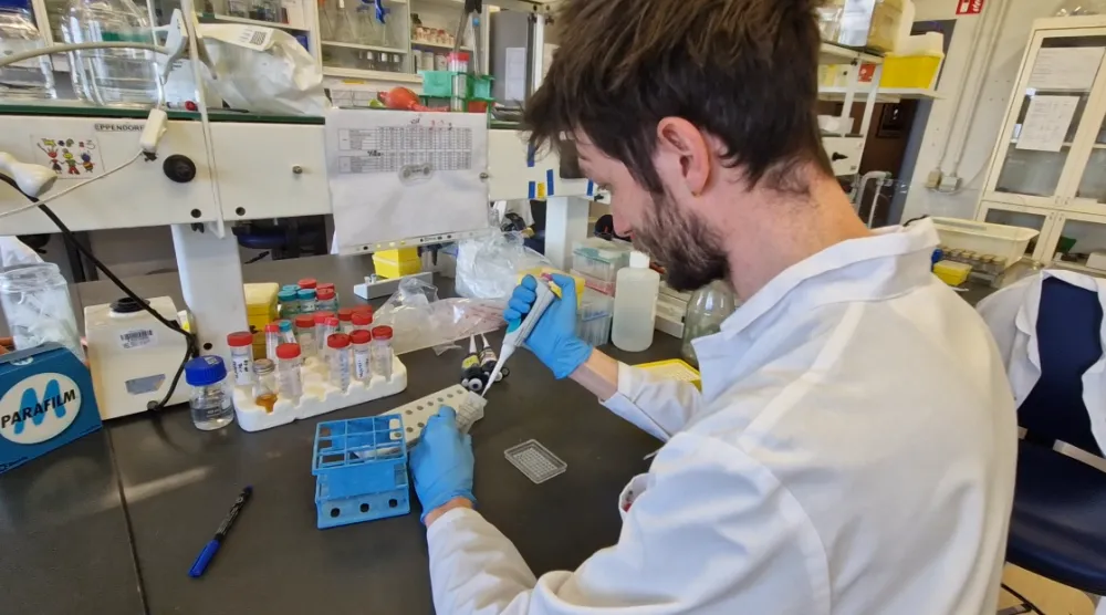 Martin Veinstein - Labo